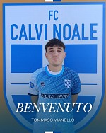 Vianello Vianello